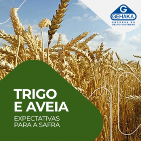 Capa de Expectativas para a safra de Inverno: 2021 – Trigo e Aveia